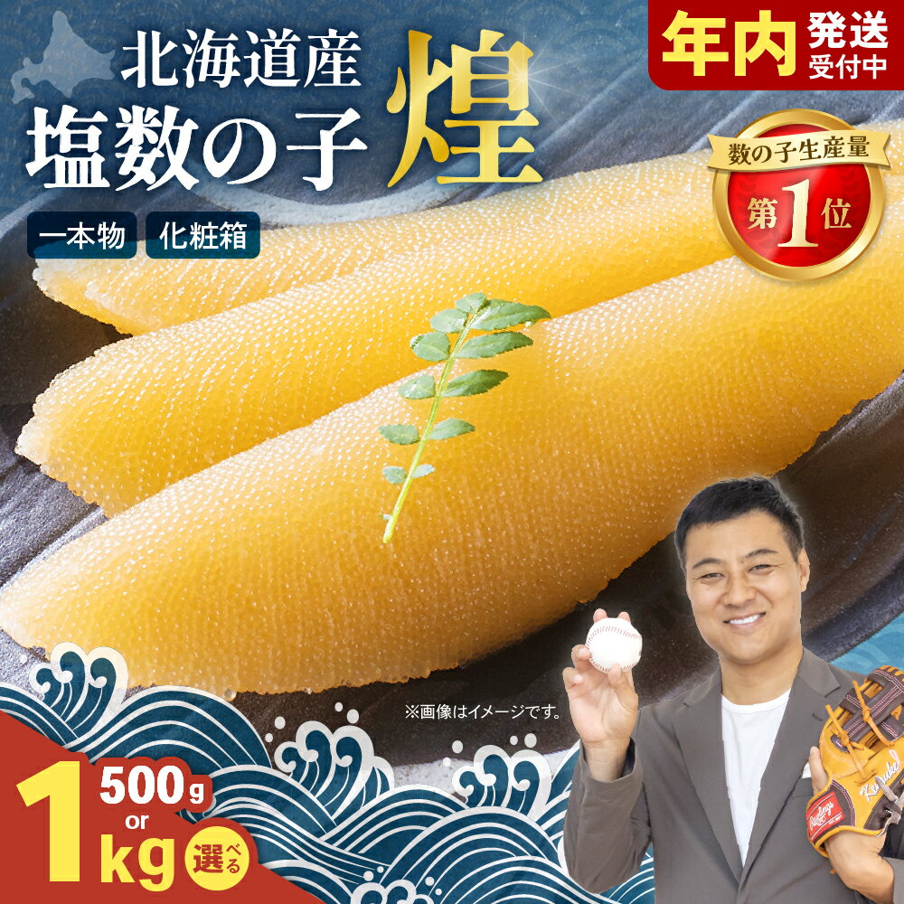 【年内配送　年内発送　北海道】【ふるさと納税】〈選べる量・発送回数〉数の子 北海道 煌 500g 国産 令和6年 水産庁長官賞受賞 やまか つまみ ご飯のお供 惣菜 おかず 海鮮 海産物 海の幸 魚介類 魚卵 加工品 北海道産 かずのこ カズノコ 塩カズノコ おせち