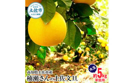 【先行予約】まる庄果樹園 楠瀬さんの土佐文旦 家庭用大玉 約5kg 2L〜4L〈2027年2月15日〜2027年4月5日発送〉[BQAF011]