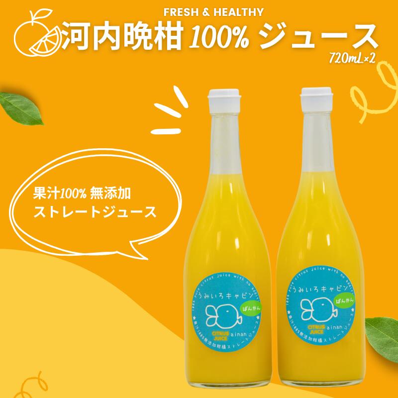 【ふるさと納税】数量限定 河内晩柑 ( 愛南ゴールド ) ジュース 720ml 2本 セット 愛南 ゴールド オレンジジュース 柑橘 果汁 無添加 果汁 100% ジュース 贈答 ギフト プレゼント 愛媛 みかん 蜜柑 ゼリー 国産 みかんジュース 焼酎 蒸留酒 うみいろキャビン 愛媛県 愛南町