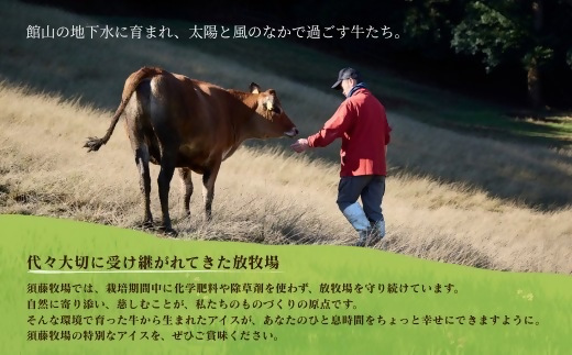 須藤牧場 館山市コラボカップアイス 6個セット(ミルク・いちご・マンゴー　各2個)【配送不可地域：離島】【1486763】