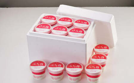 いちご 冷凍 合計12カップ（600g） 練乳  完熟 冷凍 いちご 「ぷち苺」 と 「さら苺」 各6カップ 合計12カップ（600g） 練乳付き 1本（120g） 園村苺園 熊本県産冷凍いちご 宇城