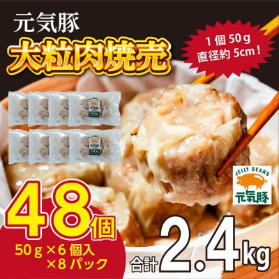 ふるさと納税 多古町 千葉県産三元豚 大粒肉焼売 48個(2.4kg)元気豚100%使用 冷凍