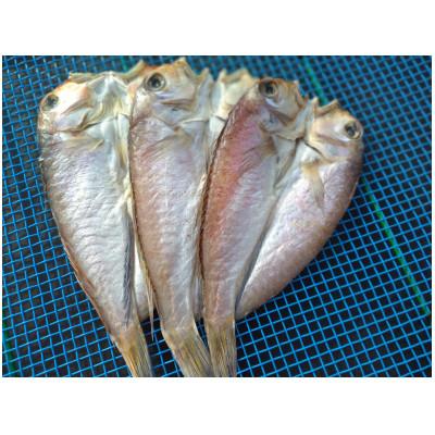 ふるさと納税 舞鶴市 甘鯛一夜干し