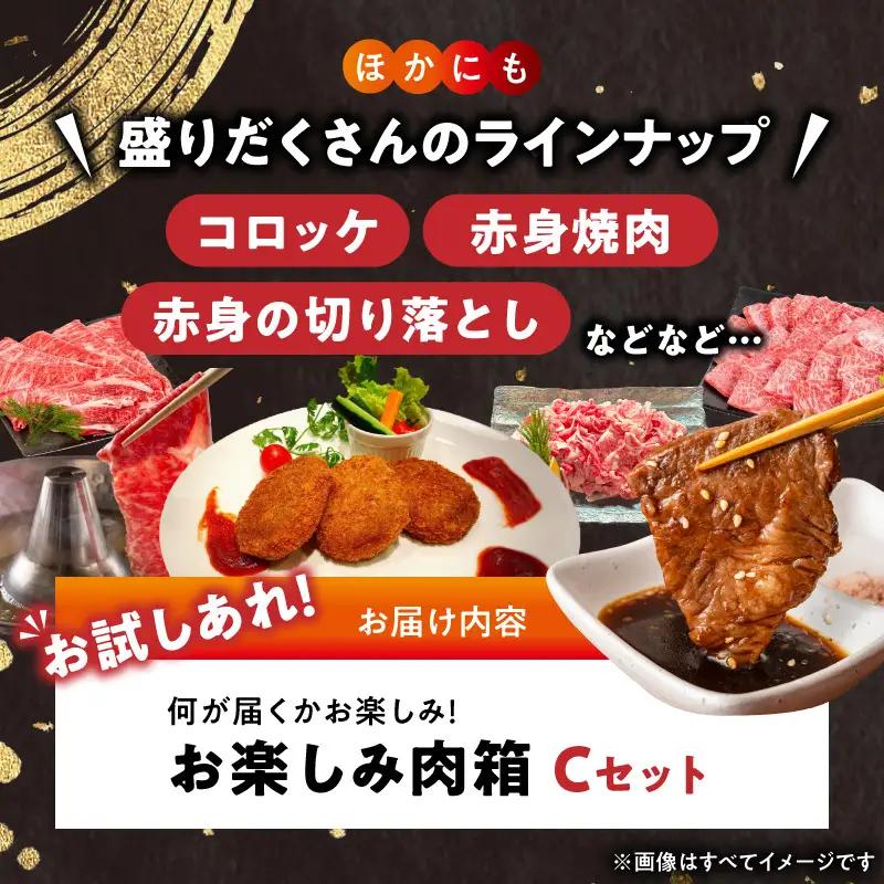 BN6137_お楽しみ肉箱 Cセット お試し ドキドキ 黒毛和牛 ハンバーグ ステーキ ロース ヒレ 焼肉 すき焼き しゃぶしゃぶ 盛り合わせ コロッケ ローストビーフ 食品 和歌山県 湯浅町 送料無