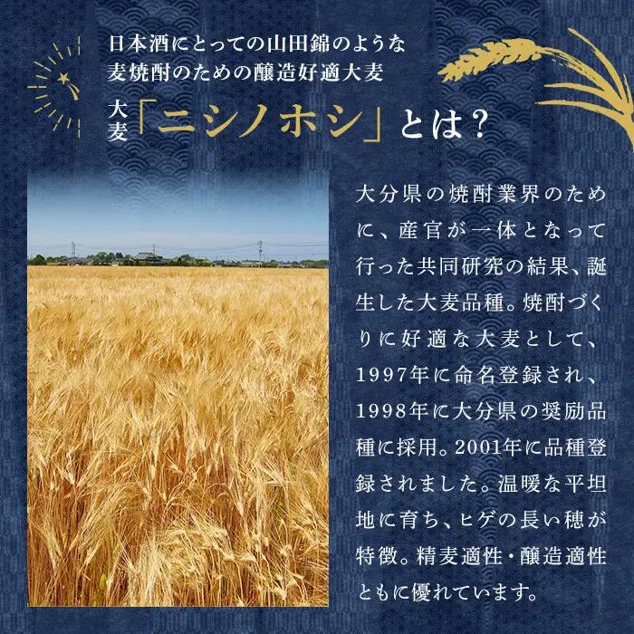 西の星 ビン 25度(1800ml×6本)酒 お酒 焼酎 麦焼酎 アルコール 三和酒類【114001600】【一般社団法人　地域商社USA】