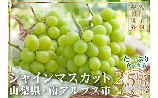 【2025年発送先行予約】大容量山梨県産 シャインマスカット2.5㎏以上(4～6房) ALPAI025