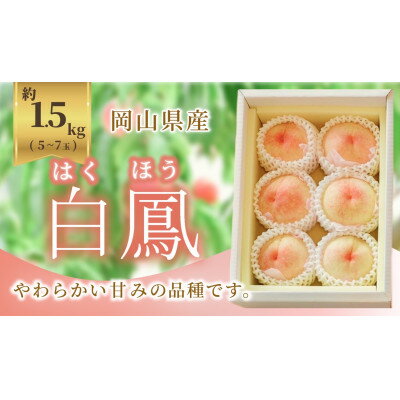 【ふるさと納税】《2026年発送》岡山県産 白鳳 1.5kg 5～7玉【配送不可地域：離島・北海道・沖縄県】【1736761】