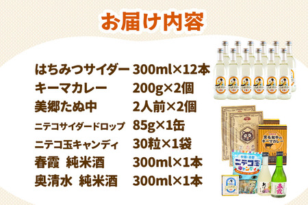 炭酸飲料 はちみつサイダー12本と美郷の美味しいものセット