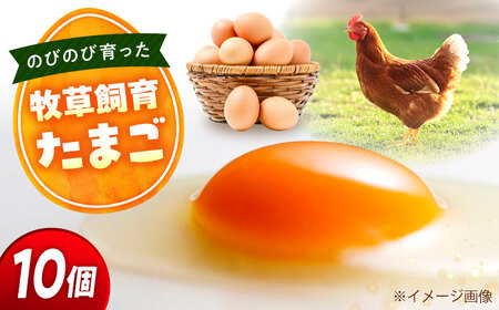 天心山 たまご 10個（10個入×1パック） 卵 たまご 高級 食品 たまごかけご飯 卵かけご飯 卵焼き 生卵 濃厚 ケーキ お菓子 づくり ランキング 上位 人気 おすすめ 　広島県福山市/天心山ファーム[BABW012]