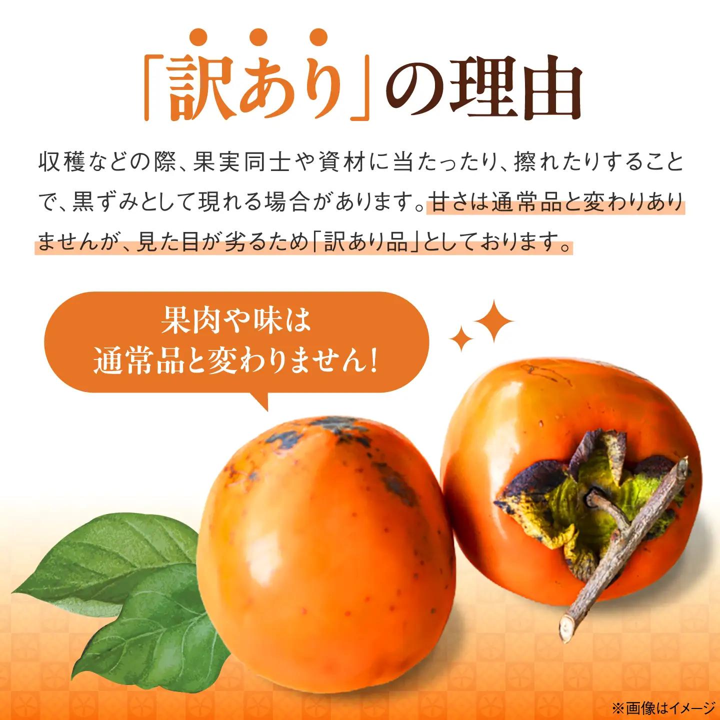 訳あり 富士柿 10kg（約25-30玉）  柿 かき 果物 くだもの フルーツ 愛媛県大洲市/有限会社西山青果[AGAR025]