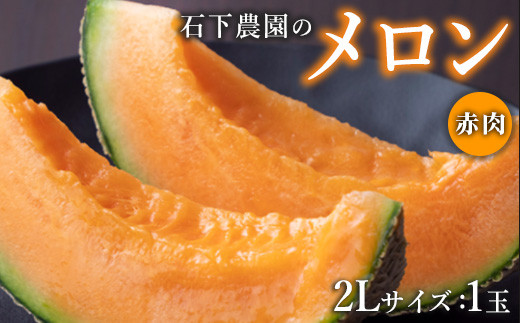 【先行予約】石下農園のクインシーメロン 赤肉 2Lサイズ 1玉 ｜ 果物 くだもの フルーツ メロン 国産 クインシーメロン 赤肉 赤肉メロン 大玉 旬 期間限定 季節限定 夏季限定 産地直送 栃木県