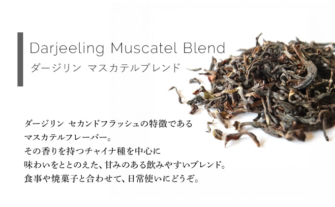 定番人気 ティーバック3種 缶入りギフトセット【Uf-fu ウーフ】紅茶 茶葉 人気 ダージリン マスカテルブレンド アールグレイ アンバー 紅茶セット ストレートティー ミルクティー アイスティー 