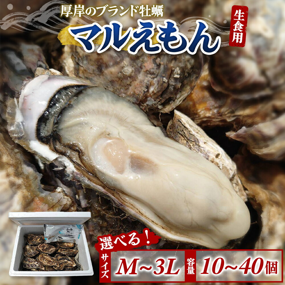 【ふるさと納税】選べる容量とサイズ 厚岸のブランド牡蠣 マルえもん M～3Lサイズ 10個～40個 [ 生食用 魚貝類 海鮮 海のミルク 国産 生食用殻付き牡蠣 まろやか クリーミー 食べやすい品種 海の香り 牡蠣の酒蒸し 焼き牡蠣 ]