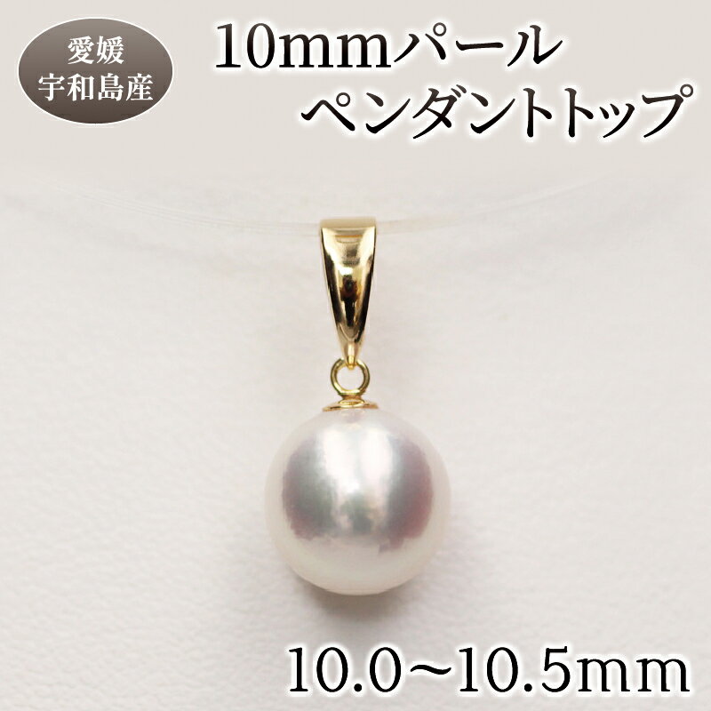 【ふるさと納税】 真珠 ペンダント パール ペンダント トップ 10.0 - 10.5mm 土居真珠 アクセサリー ファッション ジュエリー akoya 本真珠 アコヤ真珠 真珠 プレゼント 高級 贈り物 贈答品 お祝い 冠婚葬祭 就職祝い 記念日 特産品 国産 愛媛 宇和島 A220-012016