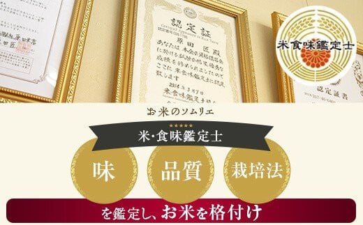 薩摩エース お米マイスター厳選 特A 5㎏×2袋（10kg）お米 精米 