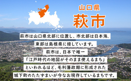 山口県萩市への応援寄付金[返礼品なし] 20,000円分
