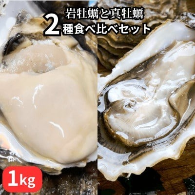 
            篠島2種の天然殻付きカキ1kg(岩牡蠣&真牡蠣)食べ比べセット 生食用/CAS冷凍　海鮮BBQに
          