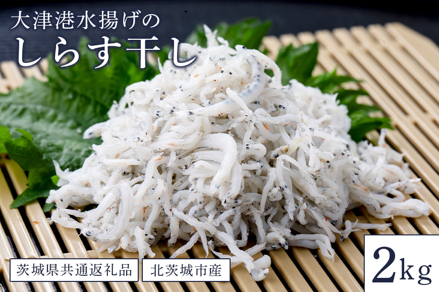 大津港水揚げのしらす干し ２kg（茨城県共通返礼品・北茨城市産）