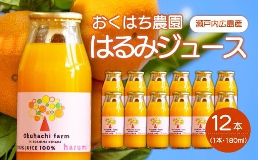 
            【おくはち農園】はるみジュース（180mlｘ12本）《2026年4月～発送予定》栽培期間中 防腐剤 ワックス 不使用 旬 柑橘 かんきつ フルーツ 果物 ジュース ドリンク 無添加 手絞り 瀬戸内  166019
          