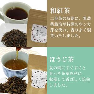 お茶 5種セット ティーバッグ 煎茶 静岡茶 お茶 お茶