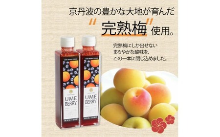 梅ベリーピューレ UMEBERRY 2本セット 315ml×2本  無添加 5倍希釈 フルーツ 果物 梅 うめ 完熟梅 ブルーベリー ジュース シロップ 贈り物 割材 炭酸割 お酒割 焼酎 ヨーグルト