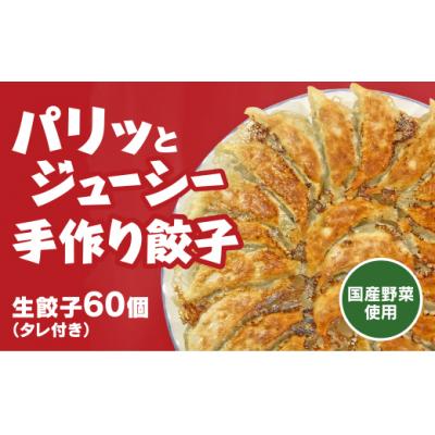ふるさと納税 山口市 生餃子60個 D333