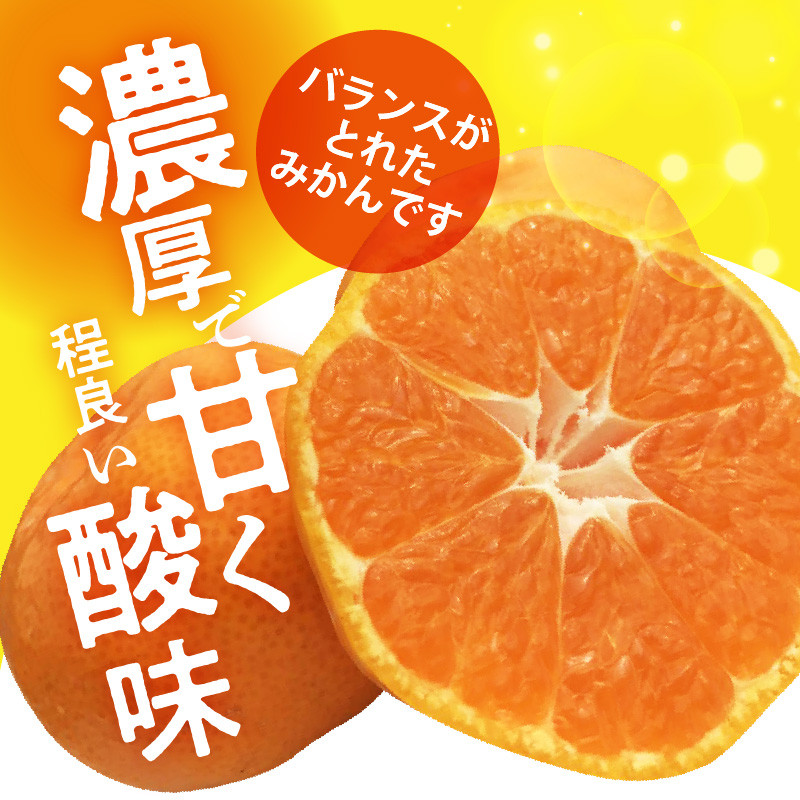 
            H6012n_【限定】 【2025年先行予約】 天の恵み 温州みかん 訳あり 5kg【ミカン 蜜柑 柑橘 温州みかん 和歌山】
          