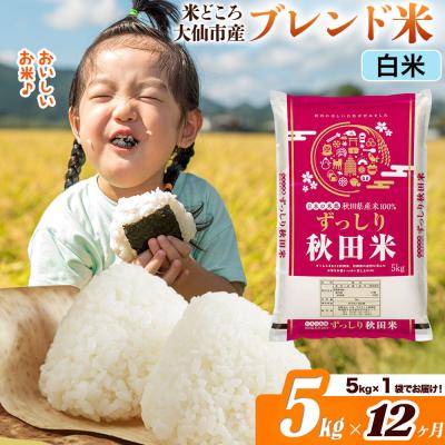 ふるさと納税 大仙市 米《12ヶ月》  ブレンド米【白米】5kg|22_ssn-040512h_sf