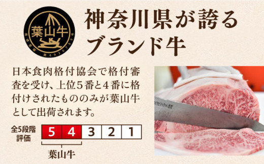 【数量限定20セット】サーロインステーキ計約500g（約250g×2枚）  ステーキ すてーき ステーキ肉 すてーき肉 牛肉 国産 ブランド 絶品 高級 極上 人気 おすすめ オススメ 葉山牛 厚切り