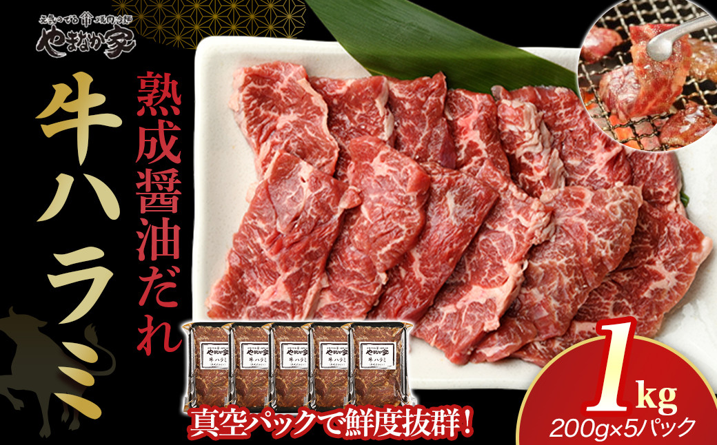 
            やまなか家　旨みたっぷり牛ハラミ【熟成醤油だれ】1kg(K2-025)   牛ハラミ 牛カルビ 豚カルビ 牛ホルモン たれ タレ 詰合せ 岩手県 北上市 D0501 （KYフーズ）牛肉 BBQ 焼肉セット
          