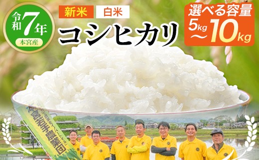 
                  【令和7年産】【内容量が選べる！】福島県産コシヒカリ≪白米≫　5kg,10kgから選択　【07214-0392-0430】
                
