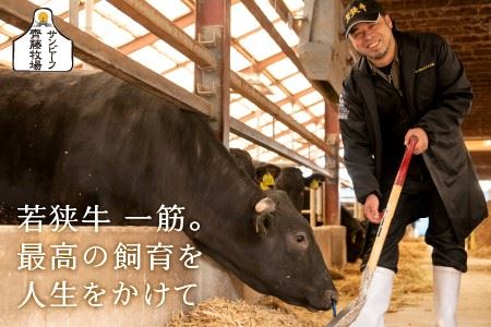 若狭牛焼肉 特上カルビ六種 盛り合わせ 計600g【C-1851】