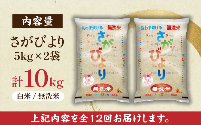 【毎月お届け!】【全12回定期便】無洗米さがびより 白米 計120kg(5kg×2袋×12回)/ さがびより さがびより 佐賀米 無洗米 無洗米 コメ おこめ ごはん / 佐賀県 / 株式会社JA食糧