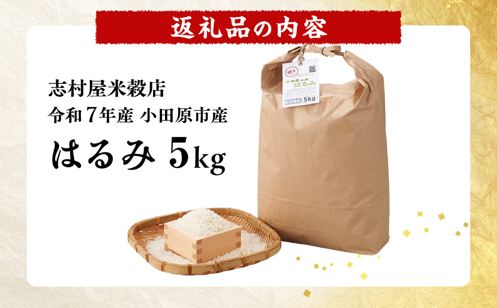 志村屋米穀店 令和7年産小田原市産　はるみ  5kg
