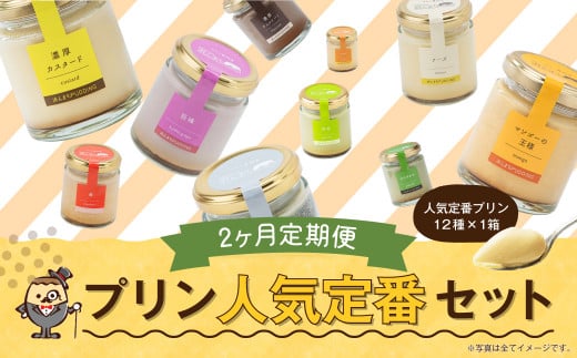【2回定期便】 浜んまちPUDDING プリンづくし 12種類 詰め合わせ （通常紙箱） スイーツ お菓子 おやつ