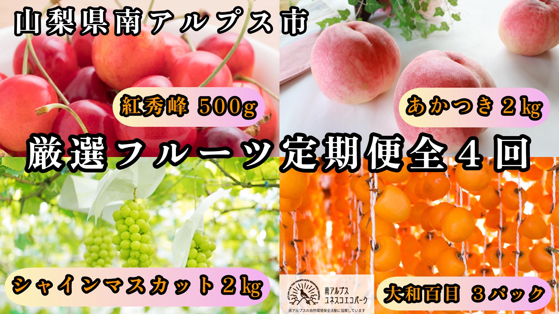 
                  ＜2026年発送先行予約＞山梨県南アルプス市産 厳選フルーツ定期便全4回B(さくらんぼ・桃・シャインマスカット2kg・あんぽ柿) ALPEM016
                