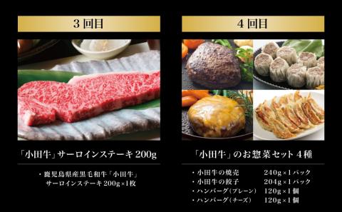 【全4回】プレミアムブランド和牛「小田牛」定期便 （お試し） 鹿児島県産 黒毛和牛
