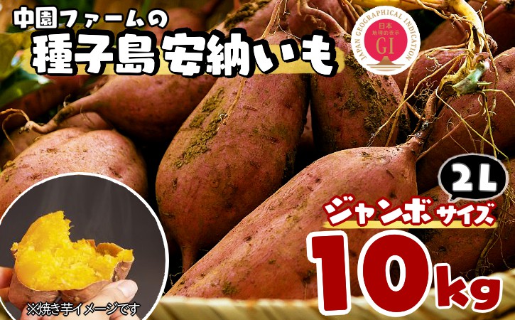 中園ファーム の 種子島 安納 いも （生芋）２Lサイズ　10ｋｇ　NFN535 【450pt】 // 安納芋 安納いも発祥の地 本場・安納地域産 糖度 熟成期間 G.I 保護制度 ブランド 金賞 生