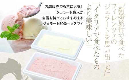 【数量限定】アイス 朝搾り ミルク TAROいちごミルク 500ml×2種 ジェラート