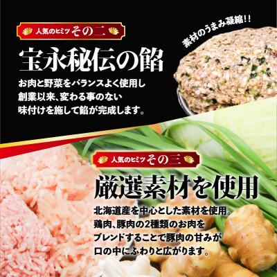 ふるさと納税 苫小牧市 【ぎょうざの宝永】宝永餃子(500g×5袋)合計2.5kg |  | 02
