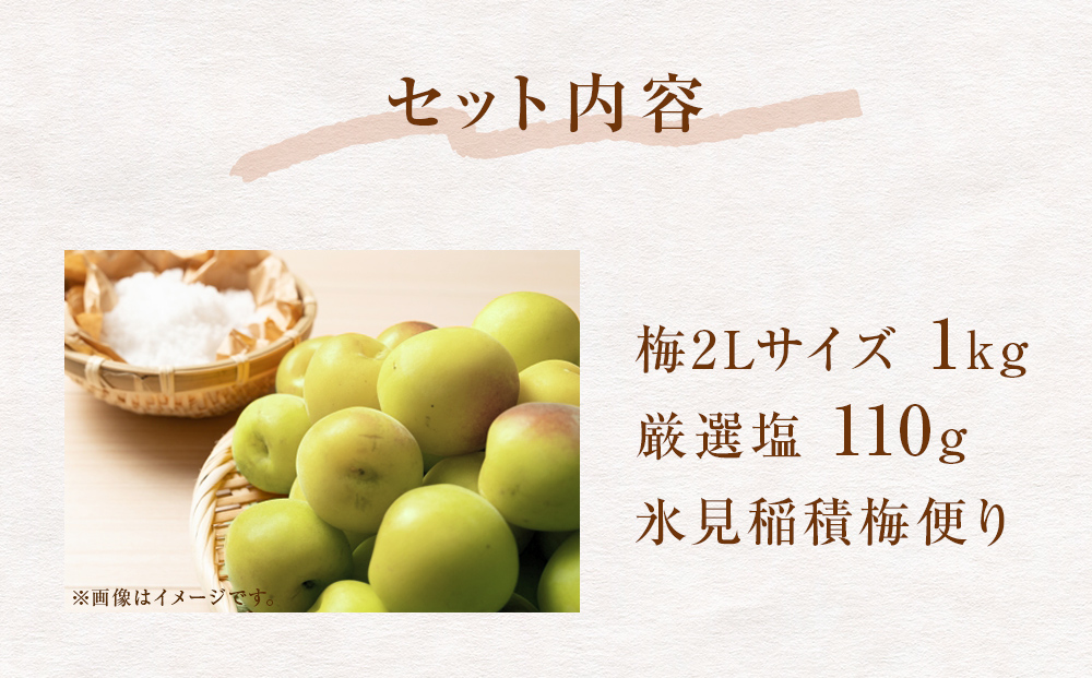 氷見稲積梅　梅干しキット 富山県 氷見市 梅干し キット 手