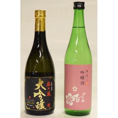 ふるさと納税 佐世保市 【毎月定期便】大吟醸&amp;吟醸酒　冷やしてワイングラスで美味しい柔らかフルーティー2本セット全3回
