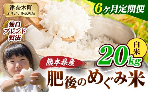 【6ヶ月定期便】白米 熊本県産 ブレンド米 肥後のめぐみ米 20kg 熊本県産 ふるさと納税 精米 米 こめ ふるさとのうぜい コメ お米 おこめ《申込月の翌月から出荷開始》