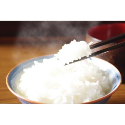 ふるさと納税 庄内町 山形県産 ちょいまんま つや姫無洗米 2合(300g)×25袋セット ブランド米 無洗米 白米 |  | 01