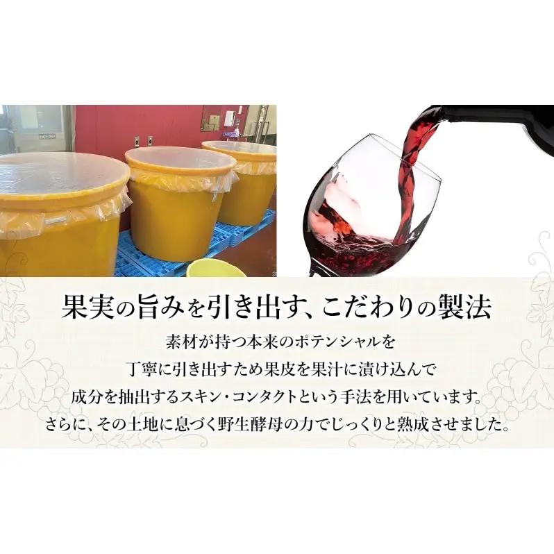 スティールライト  750ml 2本 セット  ワイン 赤ワイン スチューベン お酒 果実酒 アルコール 自然派 熟成 フレッシュ 晩酌 お祝い 記念日 贈り物 ギフト 手土産 ご当地 お取り寄せ 送