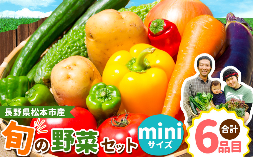 
子育て農家の野菜セット（miniサイズ）農薬・化学肥料不使用 | 定期便 無農薬 野菜 やさい 長野県 松本市 信州産 ふるさと納税
