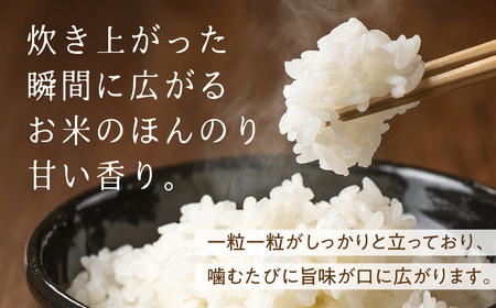 令和6年産 飛騨産 コシヒカリ 5kg 精白米 飛騨の米 岩塚農園 白米 こしひかり[Q444_24] 