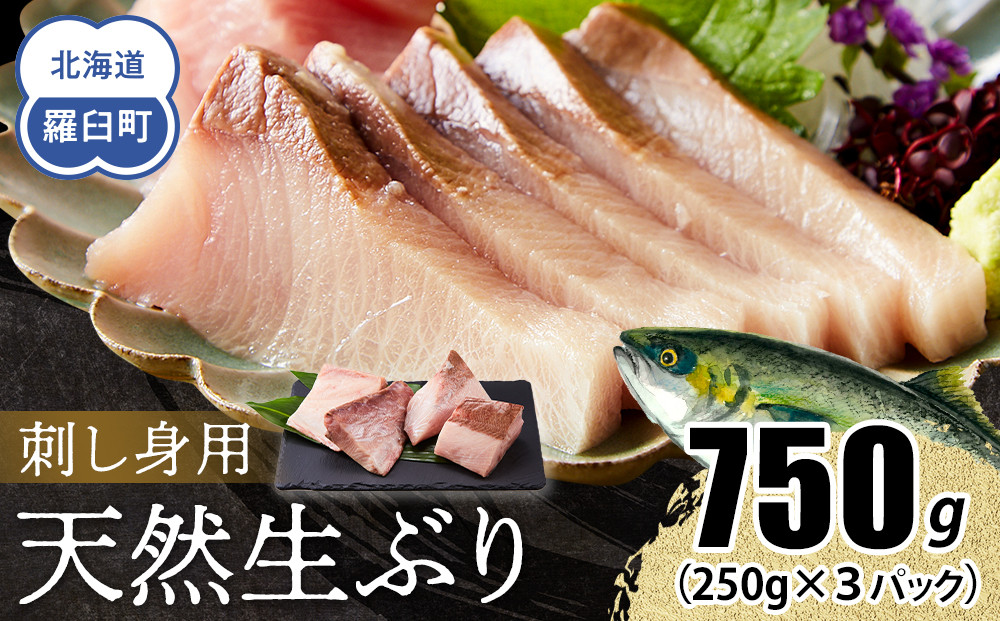 【2025年12月発送】北海道 知床羅臼産 天然ぶり刺身 750g（250g ×3パック） 魚 海産物 魚介 魚介類 ブリ 鰤 刺身 ご飯のお供 冷凍 生産者 支援 応援 016942_AA043VC02