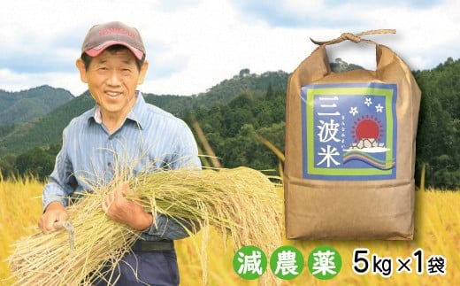 令和7年産 減農薬 三波農地を守る会のコシヒカリ 5kg（5kg×1袋） 令和7年産  新米 減農薬 コシヒカリ お米 安心 安全 良質 美味しい 計5㎏ お試し 竹田城跡 三波地区 きれいな水【AS2BB20】