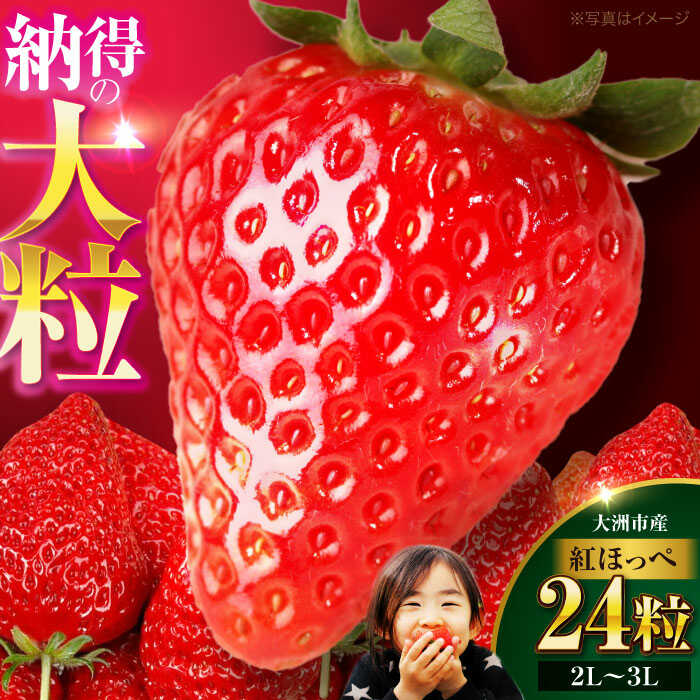 【ふるさと納税】【先行予約】【2026年1月上旬から順次発送】いちご 紅ほっぺ 24粒 | 人気 おすすめ ランキング おいしい 甘い 苺 果物 フルーツ 大洲市/有限会社西山青果[AGAR001] 10000 10000円 以上